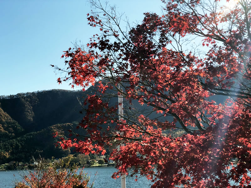 紅葉ツーリングに河口湖と道志みちへ 50歳元2stライダー大型二輪免許取得日記 紅葉ツーリングに河口湖と道志みちへ 50歳元2stライダー大型二輪免許取得日記