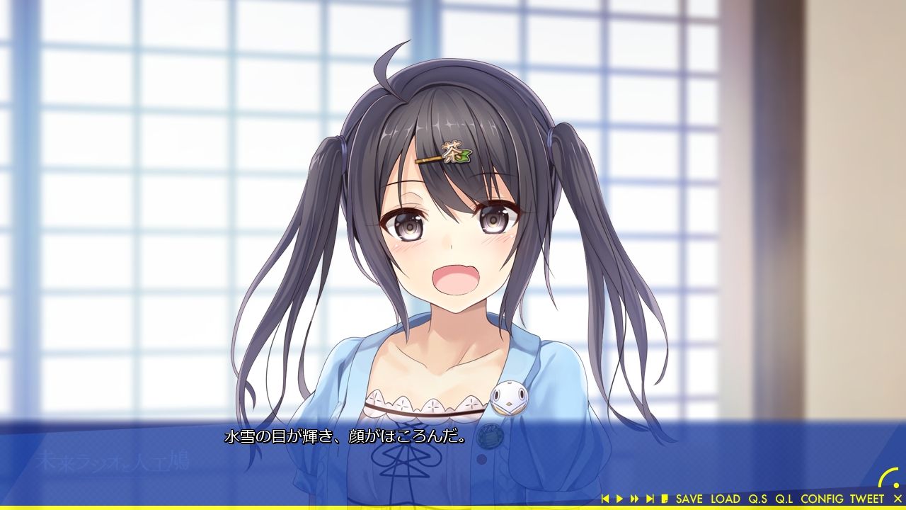 未来ラジオと人工鳩 感想 バースデイ