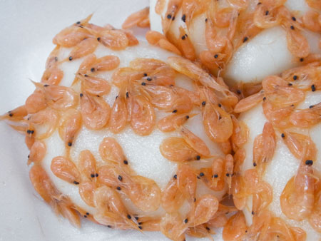 一関「えび餅」 : 「全国イイ味ハマル味」