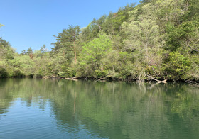 20200505-IMG_7406