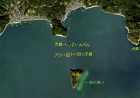 新しい画像