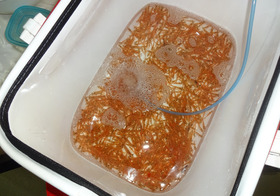DSC00900_00002