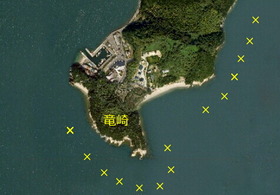 新しい画像 (1)