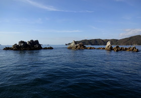 DSC02053