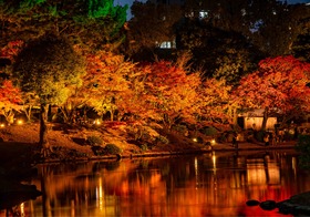 DSC_2886-HDR