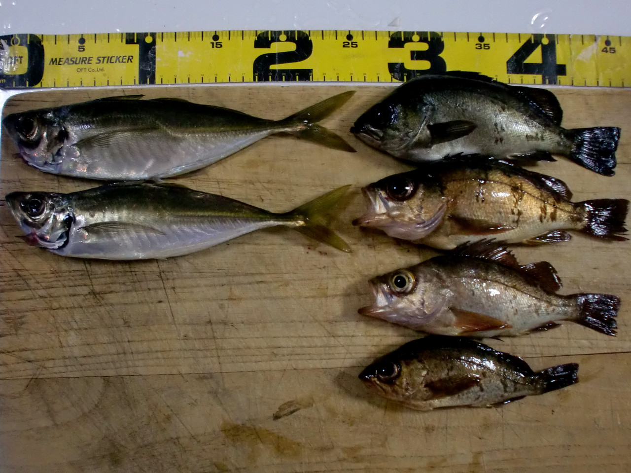 Love Fishing Catch Eat 14年 5月29日 周防大島 戸田の道路 アジング メバリング T T Love Fishing Catch Eat 14年 5月29日 周防大島 戸田の道路 アジング メバリング T T