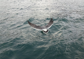 DSC00967_00004