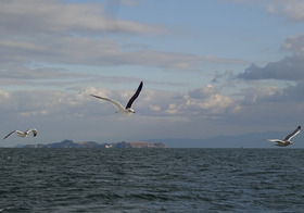 DSC00928_00011