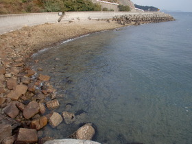 2011-11-23蒲刈5