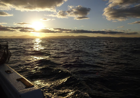 DSC00843_00006