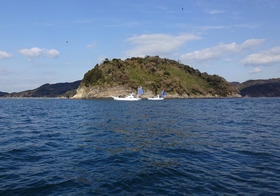 DSC02541