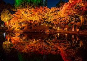 DSC_2906-HDR