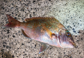 20200726-IMG_9298