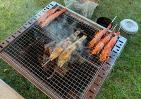 IMG_5582