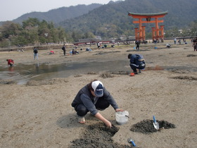 2011宮島2