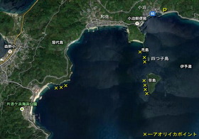 新しい画像 (1)