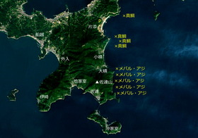 新しい画像