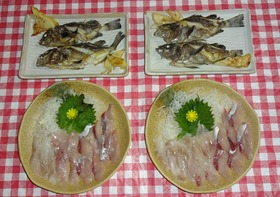 DSC00856 (2)