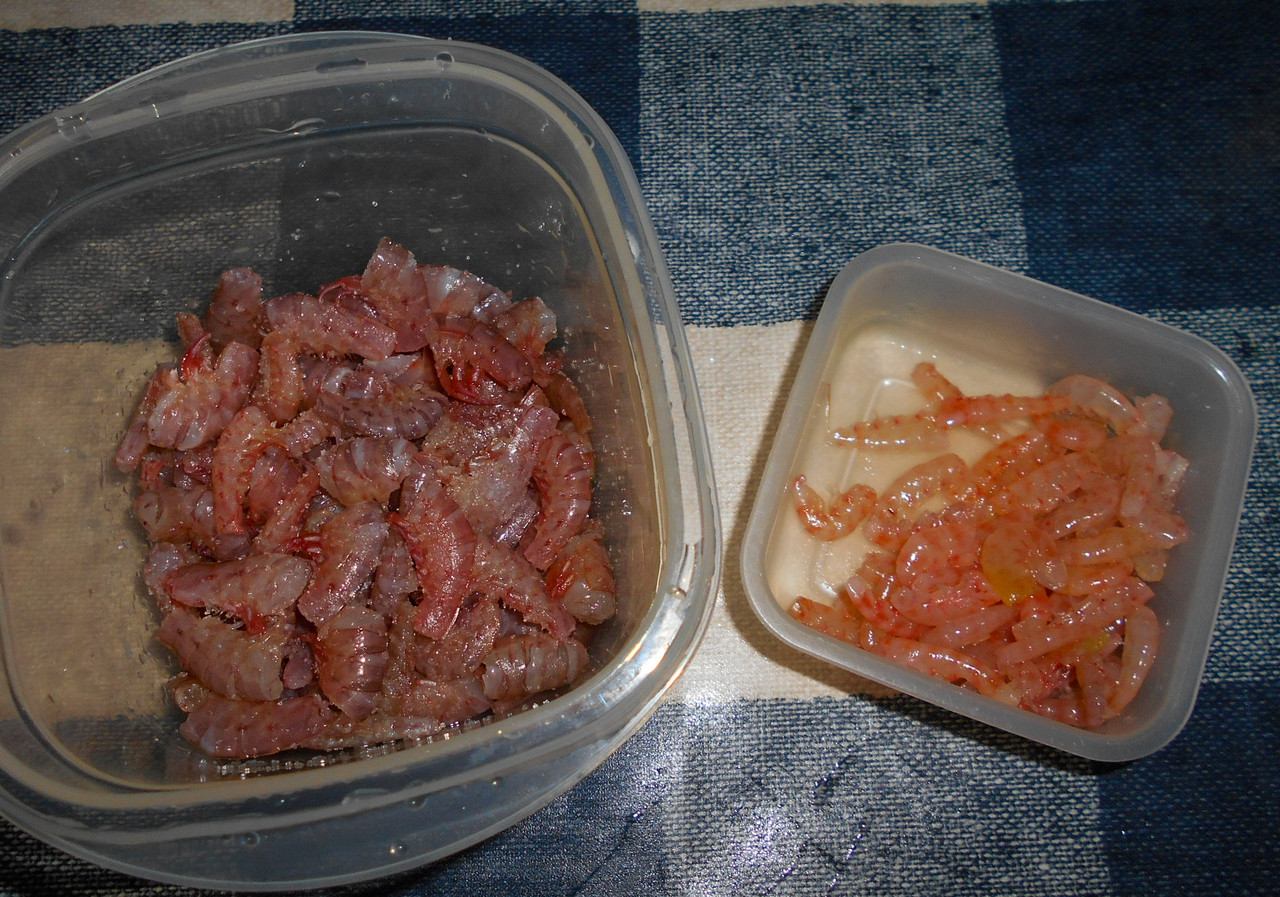 Love Fishing Catch Eat 18年 12月9日 兜島 周防大島沖 太刀魚 ウマズラ船釣り T T