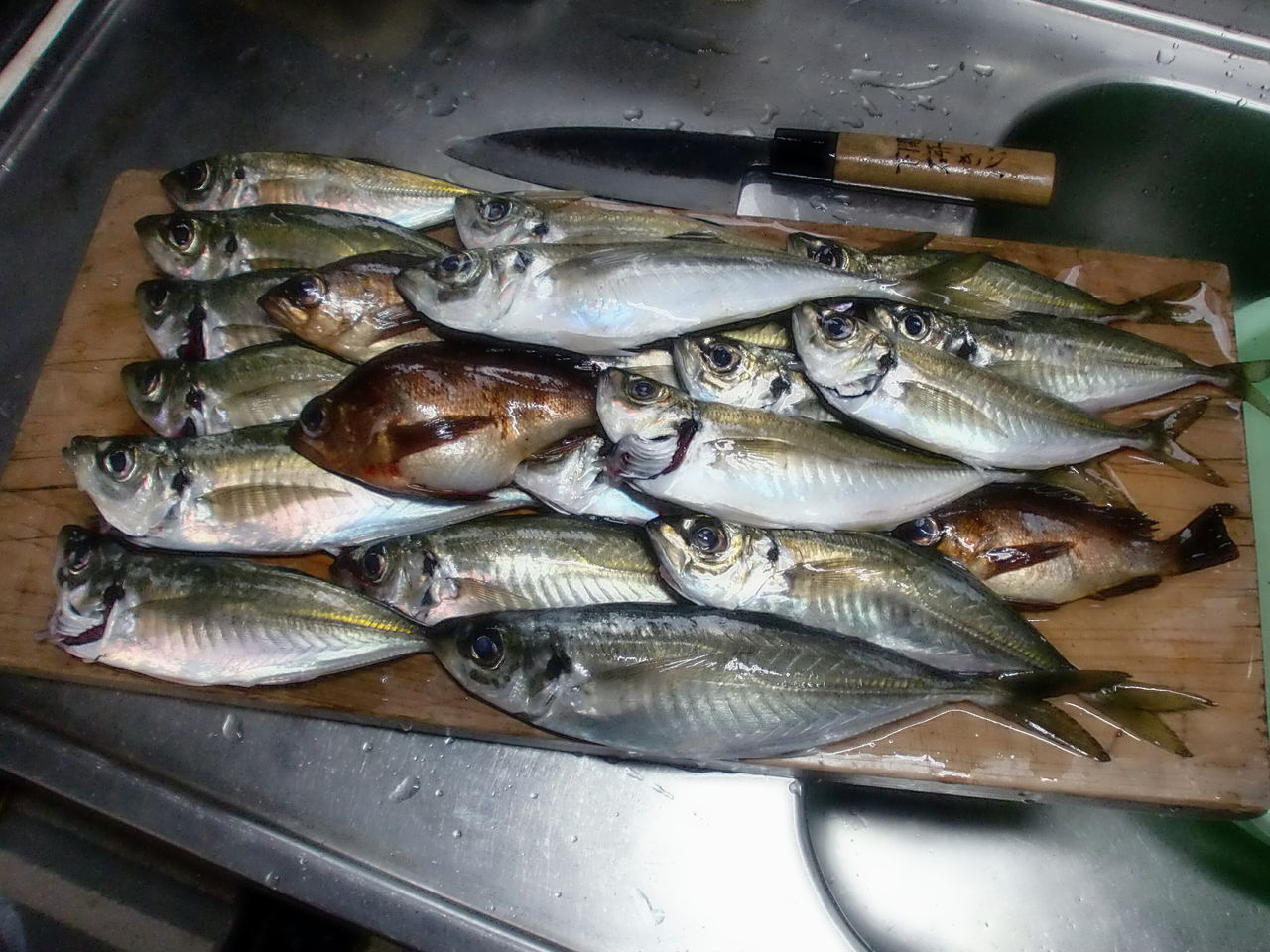 Love Fishing Catch Eat 12年 12月29日周防大島 船越の道路