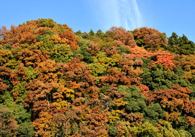 DSC_5600_00003_00002_00001_01