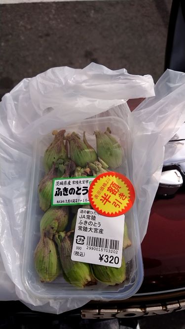 ふきのとう