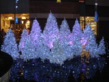 merry1