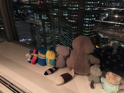 写真 2015-12-28 17 46 30
