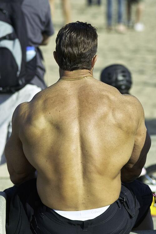 マッチョの 逞しい背中 親父の縁側