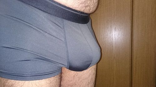 パンツもっこり 親父の縁側 パンツもっこり 親父の縁側