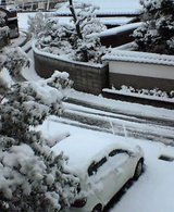 ������¬�����դΤ���������12�����