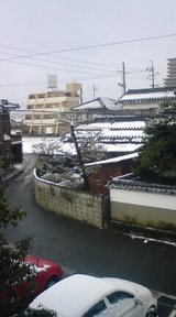 週末ごとに雪