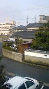 揺れ動く弥生の空