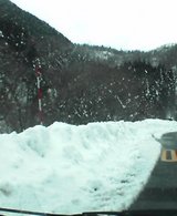 ƻ�Ƥ�����Υݡ��뤬