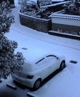 ���礦����Ǥ�