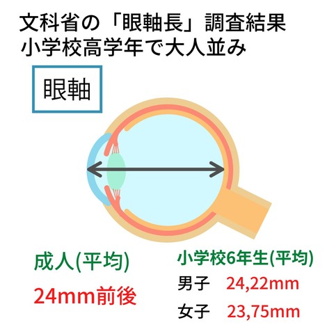 小学校高学年で大人並み
