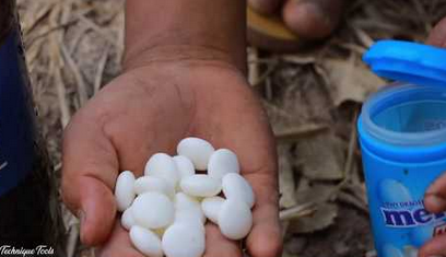 メントスコーラで魚獲り動画が世界中に大流行 穴にメントスコーラ注ぐ奴続出ｗｗｗ エッッッ