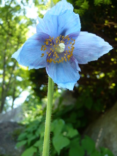 P1110415