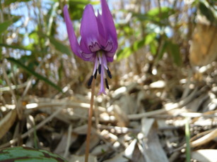 P1110310