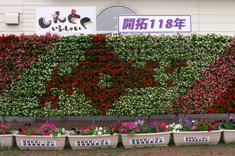 P1090038