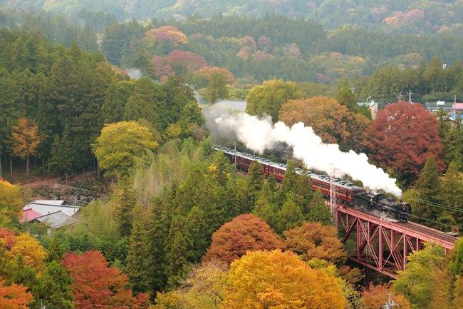 紅葉鉄道 山の秋編 四季の旅写真gallery 紅葉鉄道 山の秋編 四季の旅写真gallery