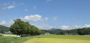 travel_20260905_15