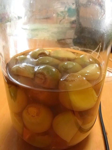 青くなった話 にんにくの甘酢漬け Earlgreybergamatのブログ 青くなった話 にんにくの甘酢漬け Earlgreybergamatのブログ