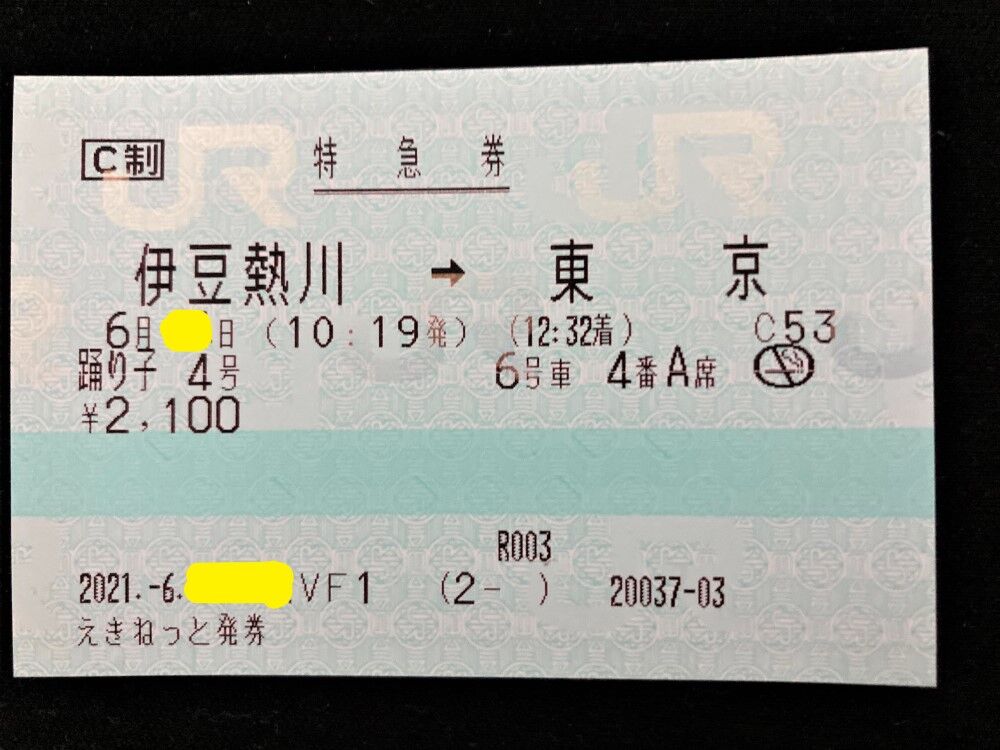 帰り 特急 踊り子 普通車に乗車しました Shinoの鉄道旅行 ホテル宿泊備忘録 帰り 特急 踊り子 普通車に乗車しました Shinoの鉄道旅行 ホテル宿泊備忘録