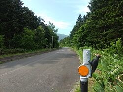 36