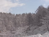 RIMG0028