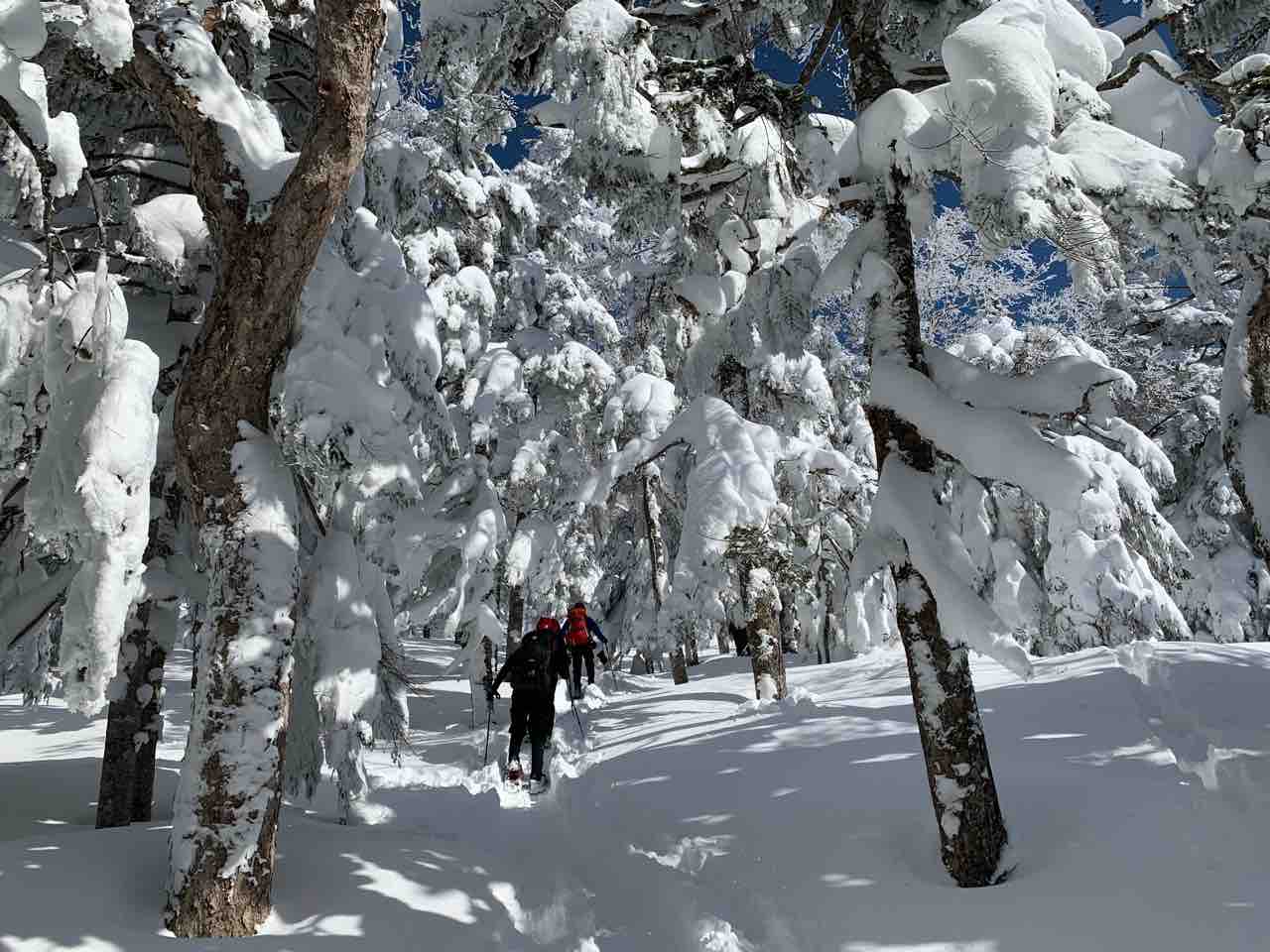 3 7 福島から山形へ スノーモンスター群を抜けて 西吾妻山 山を登って楽園へ 3 7 福島から山形へ スノーモンスター群を抜けて 西吾妻山 山を登って楽園へ
