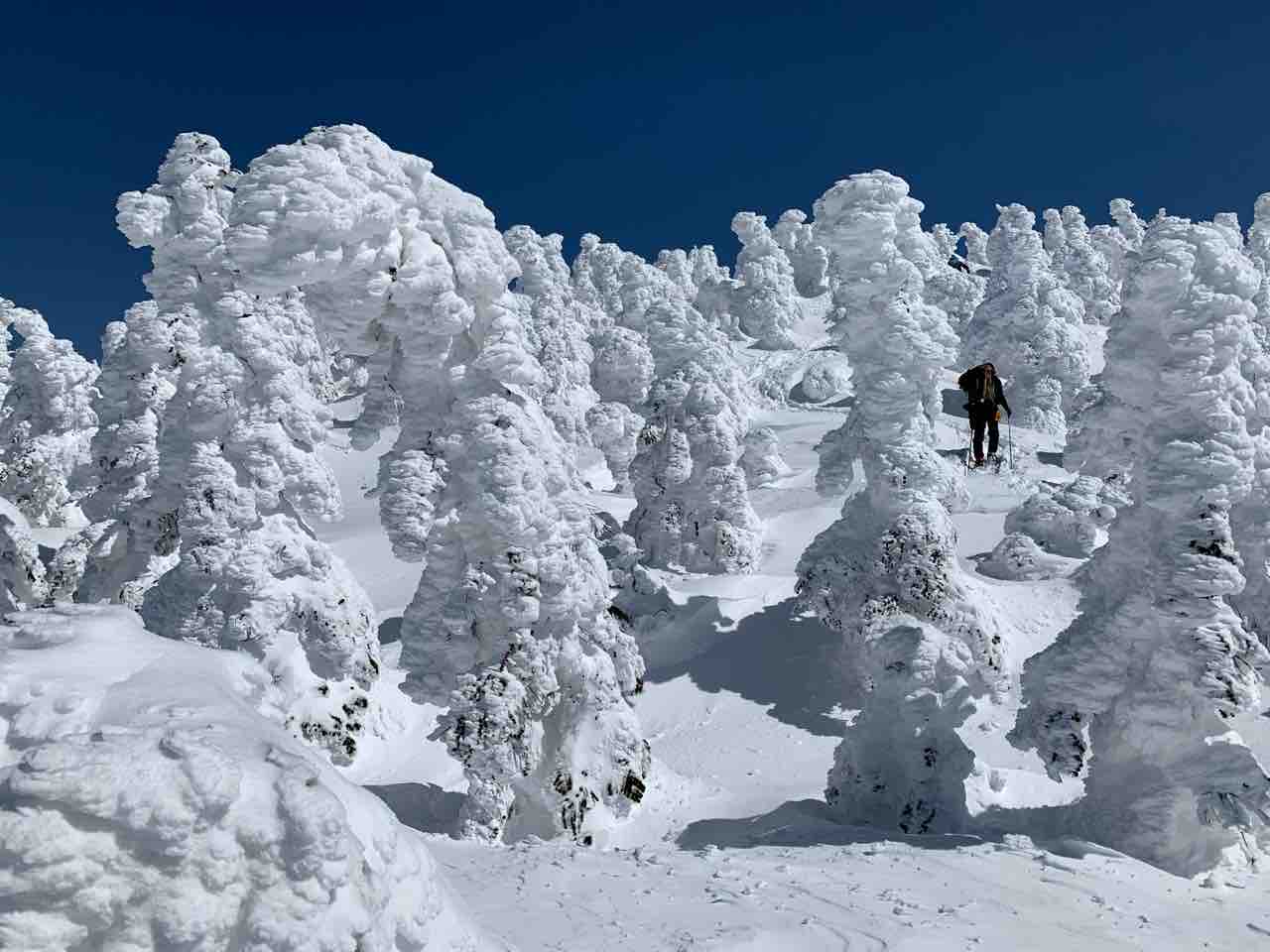 3 7 福島から山形へ スノーモンスター群を抜けて 西吾妻山 山を登って楽園へ 3 7 福島から山形へ スノーモンスター群を抜けて 西吾妻山 山を登って楽園へ