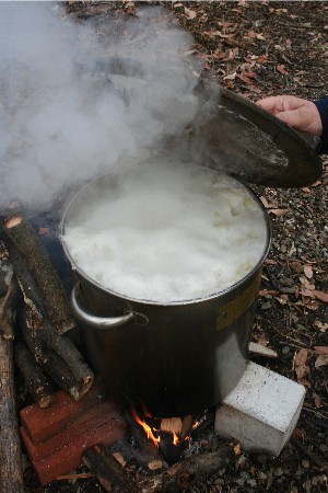 4156豆茹で