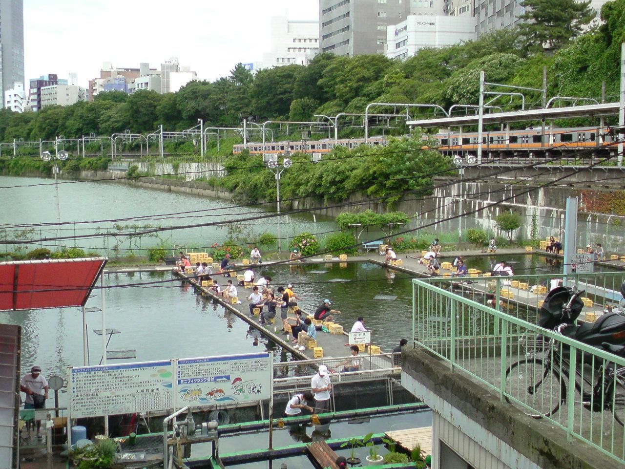 7 16 釣りレポ In 市ヶ谷フィッシュセンター Futsal Travel Report 7 16 釣りレポ In 市ヶ谷フィッシュセンター Futsal Travel Report